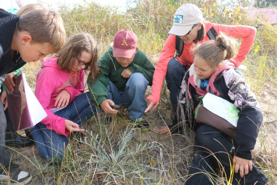 Northeast Michagan Great Lakes Stewardship Initiative students at work in a field