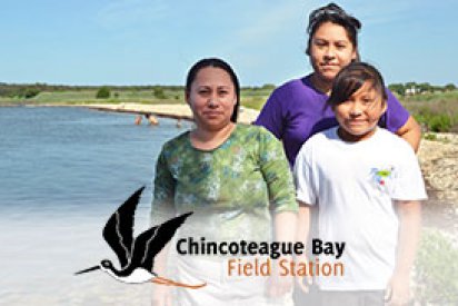 Shore People Advancing Readiness For Knowledge