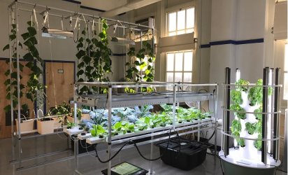hydroponic farming lab