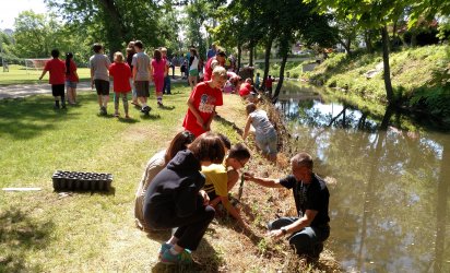 Groundswell Michigan