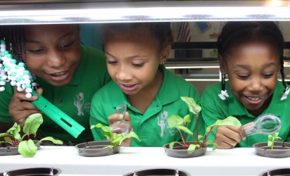 NY Sun Works Greenhouse Project